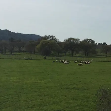 Trojan Horse Lantgård